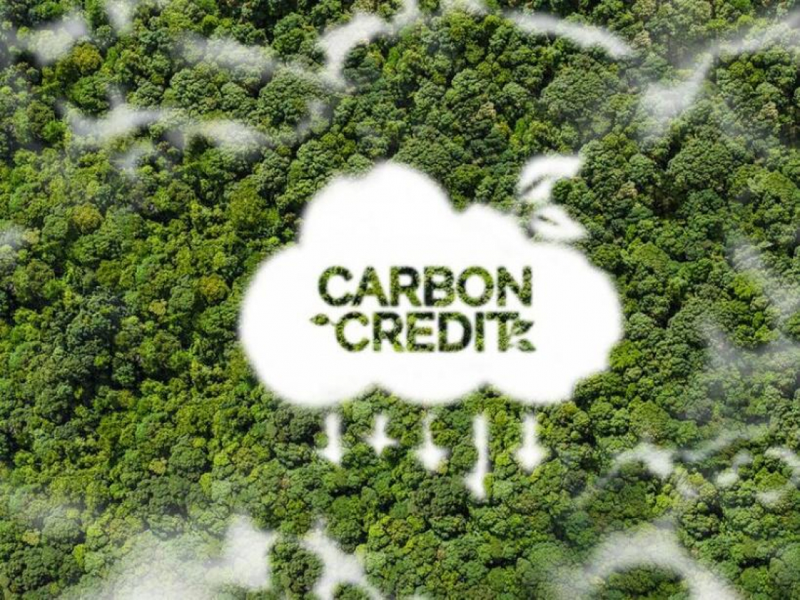 微軟、Google 都在搶！高品質移除型碳權市場爆發，為什麼供給遠追不上需求？